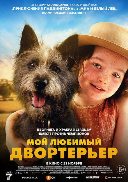  Мой любимый двортерьер 